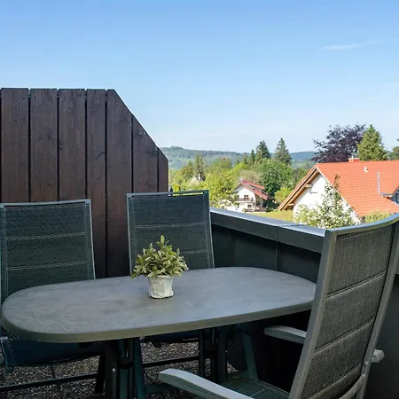 Lejlighed Gaestehaus Kunkelmann Mit Sauna Höchenschwand