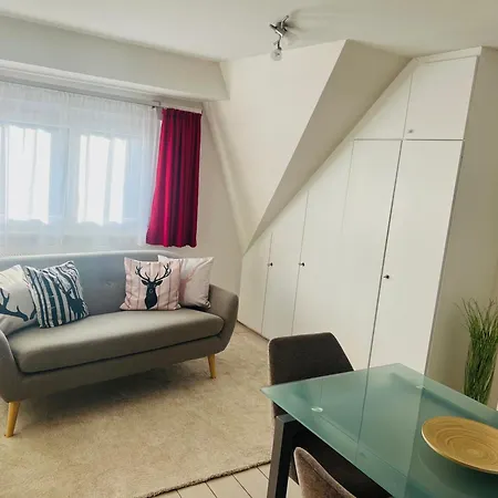 Apartment Kunkelmann Mit Sauna *