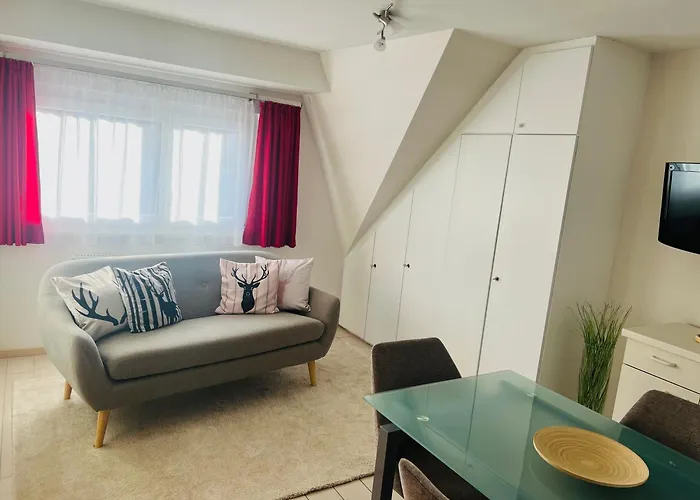 Gaestehaus Kunkelmann Mit Sauna بادن - فورتمبرغ